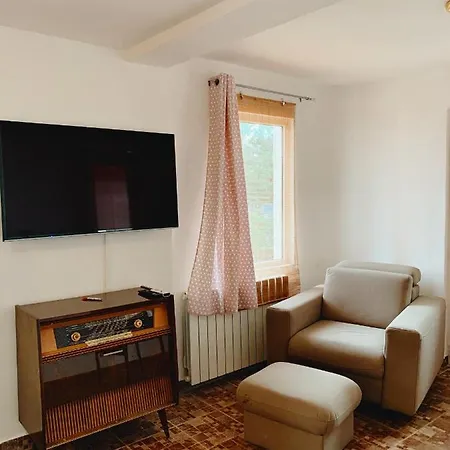 Apartman Mihaela Icici