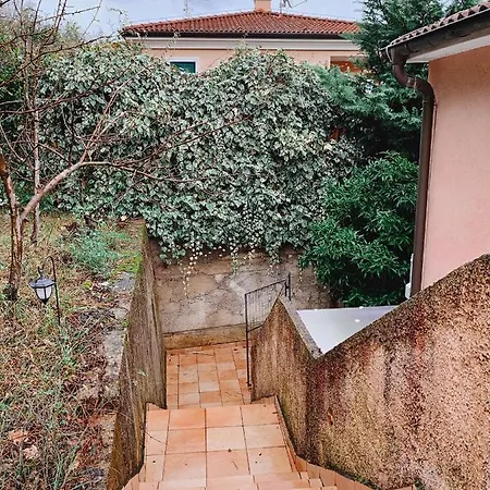 Apartment Mihaela